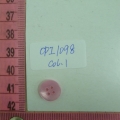 CPI1098