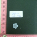 CPI1100