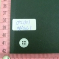 CPI1101