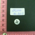 CPI1102
