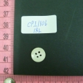 CPI1106