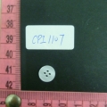 CPI1107