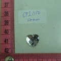 CPI1110