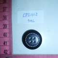 CPI1112