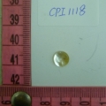 CPI1118
