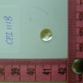 CPI1118