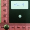 CPI1119