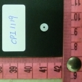 CPI1119