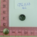 CPI1123