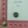 CPI1124