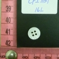 CPI1131
