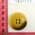 CPI1137
