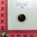 CPI1147