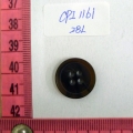 CPI1161