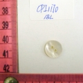 CPI1170