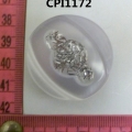 CPI1172