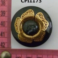 CPI1173