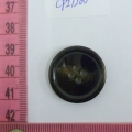 CPI1200