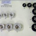 CPI1281