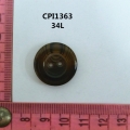 CPI1363