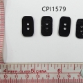 CPI1579
