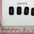 CPI1579