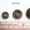 CPI1629
