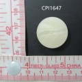 CPI1647