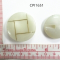 CPI1651