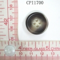 CPI1700