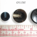 CPI1707