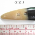 CPI1717