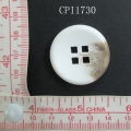 CPI1730