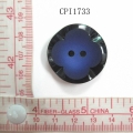 CPI1733