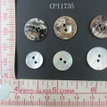 CPI1735