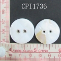 CPI1736