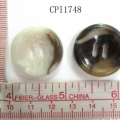 CPI1748