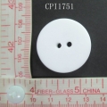 CPI1751