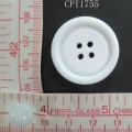 CPI1755