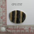 CPI1757