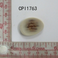 CPI1763