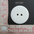 CPI1787