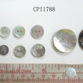 CPI1788