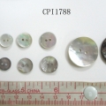 CPI1788