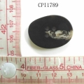 CPI1789