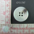 CPI1797