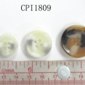 CPI1809