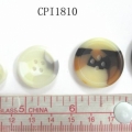 CPI1810