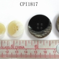 CPI1817