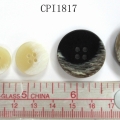 CPI1817